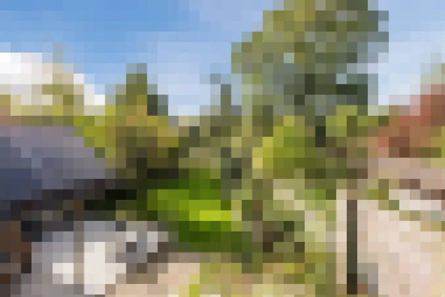 van Heemstraweg 7 Weurt thumbnail 58