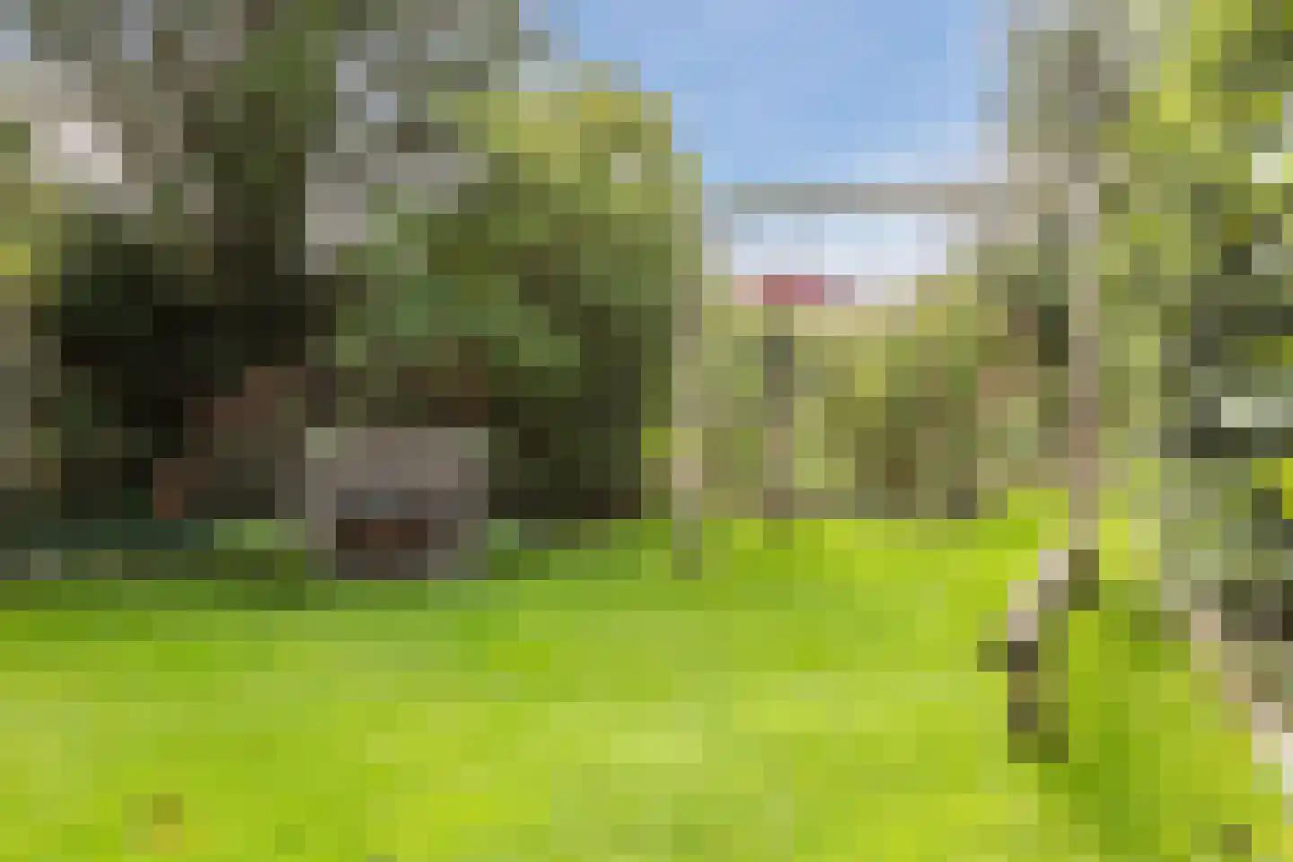van Heemstraweg 7 Weurt thumbnail 66