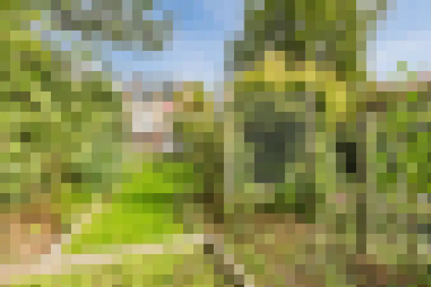 van Heemstraweg 7 Weurt thumbnail 69