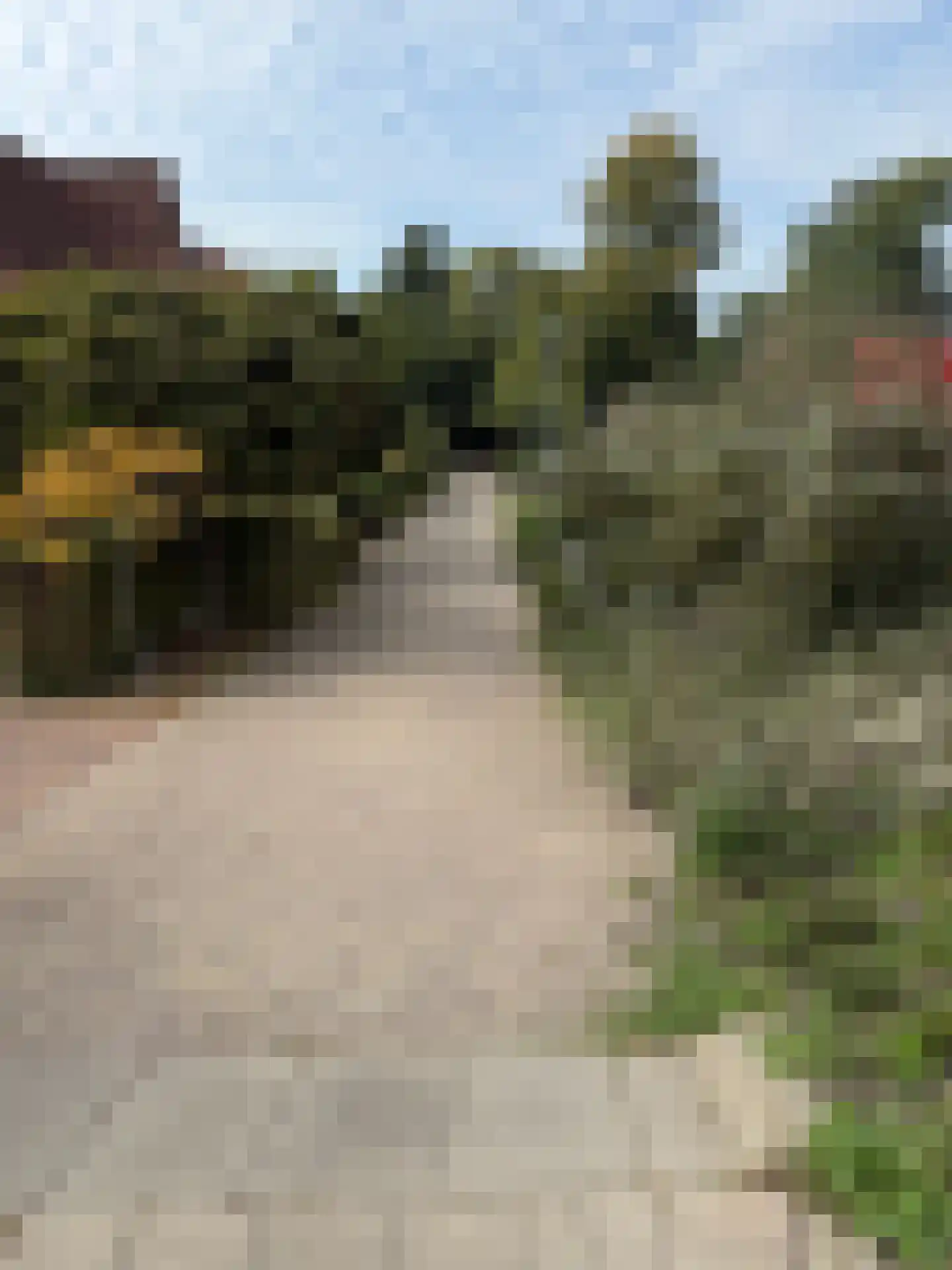 van Heemstraweg 7 Weurt thumbnail 74