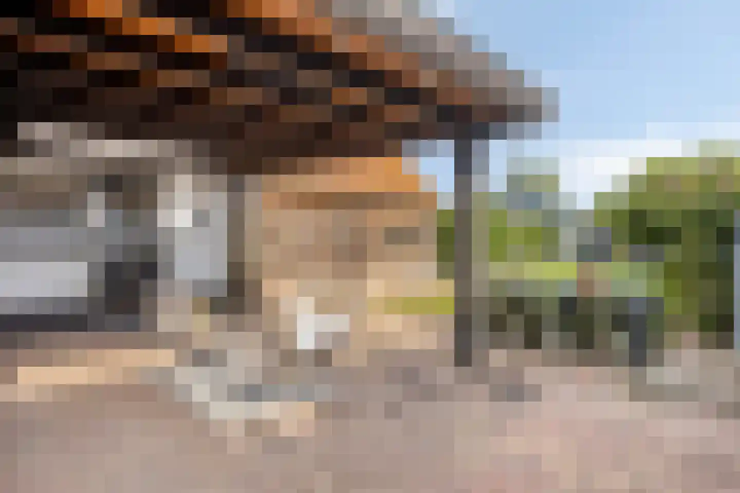 van Heemstraweg 8 Boven-Leeuwen thumbnail 44