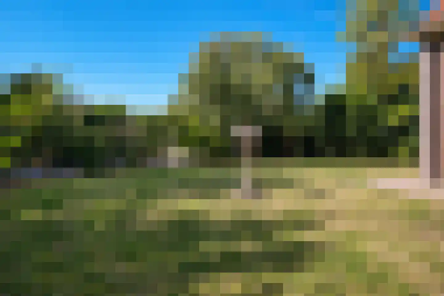 van Heemstraweg-oost 9 Zaltbommel thumbnail 34