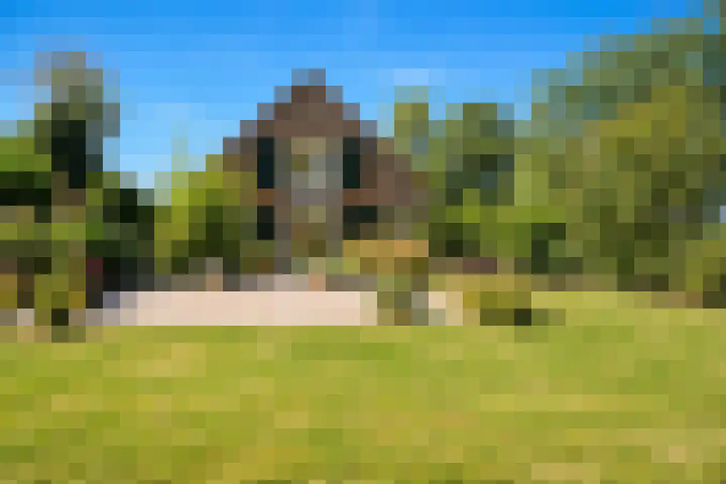 van Heemstraweg-oost 9 Zaltbommel thumbnail 4