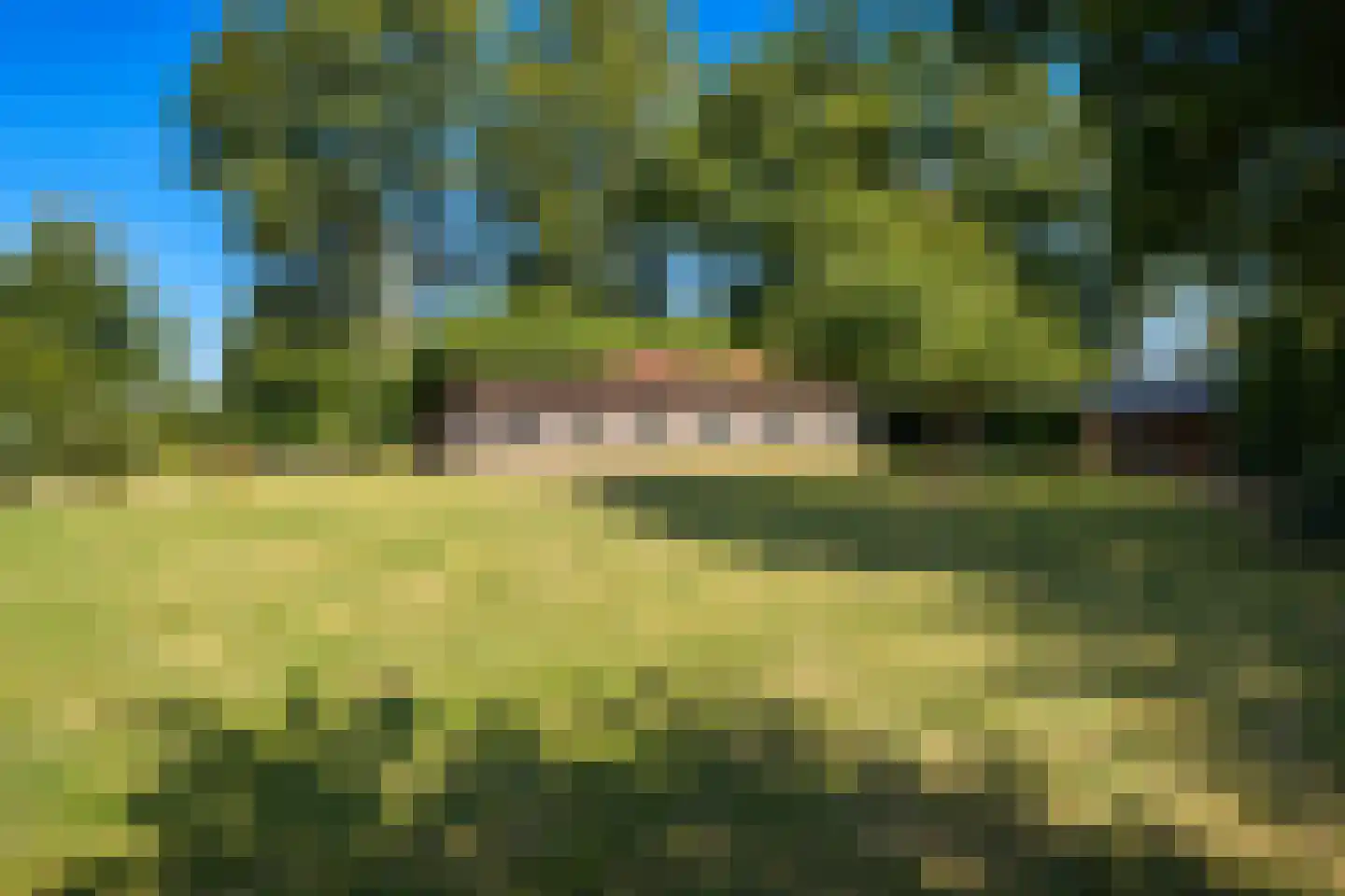 van Heemstraweg-oost 9 Zaltbommel thumbnail 46