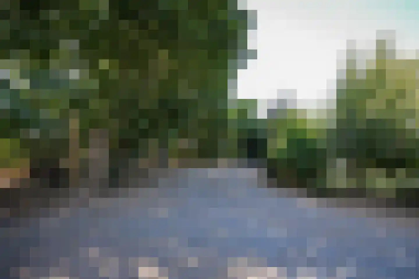 van Heemstraweg-oost 9 Zaltbommel thumbnail 52