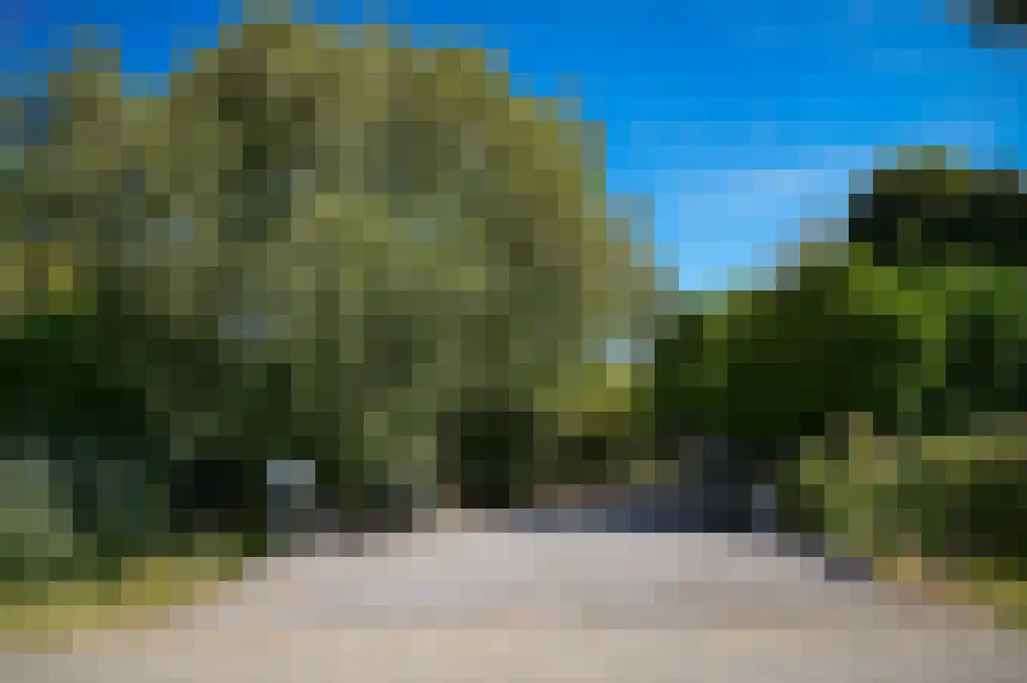 van Heemstraweg-oost 9 Zaltbommel thumbnail 53