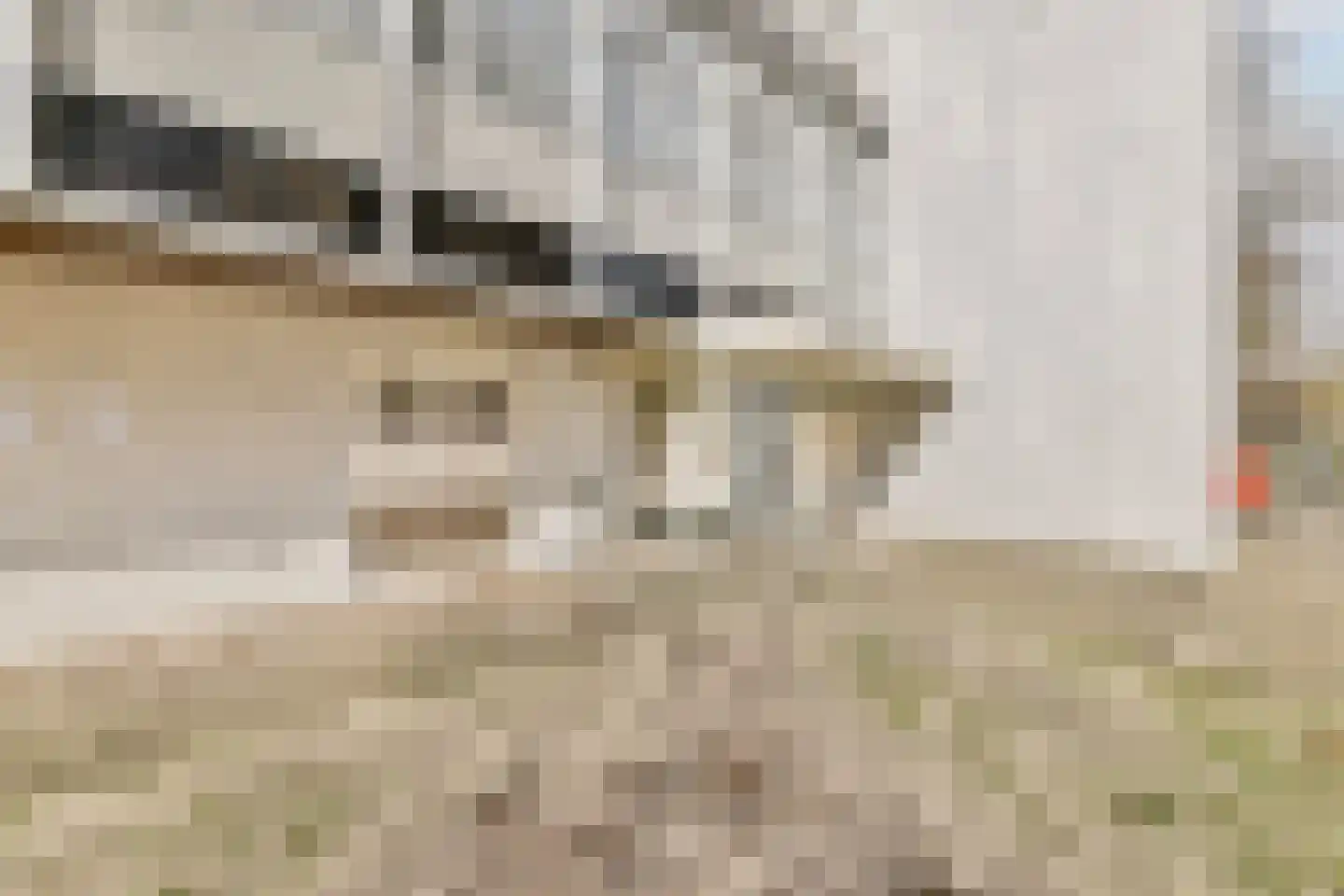Van Heenvlietlaan 156 Amsterdam thumbnail 5