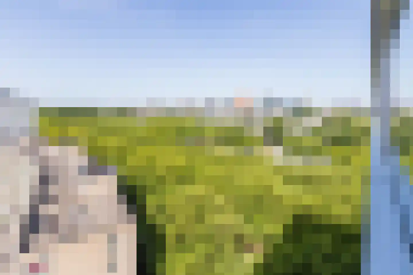 Van Heenvlietlaan 184 Amsterdam thumbnail 11