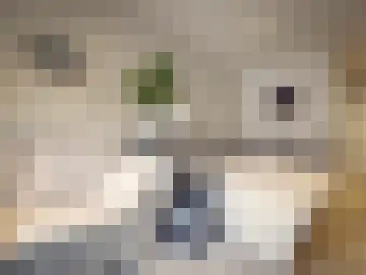 Van Heenvlietlaan 228 D Amsterdam thumbnail 5