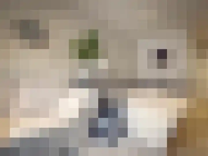 Van Heenvlietlaan 242 F Amsterdam thumbnail 6