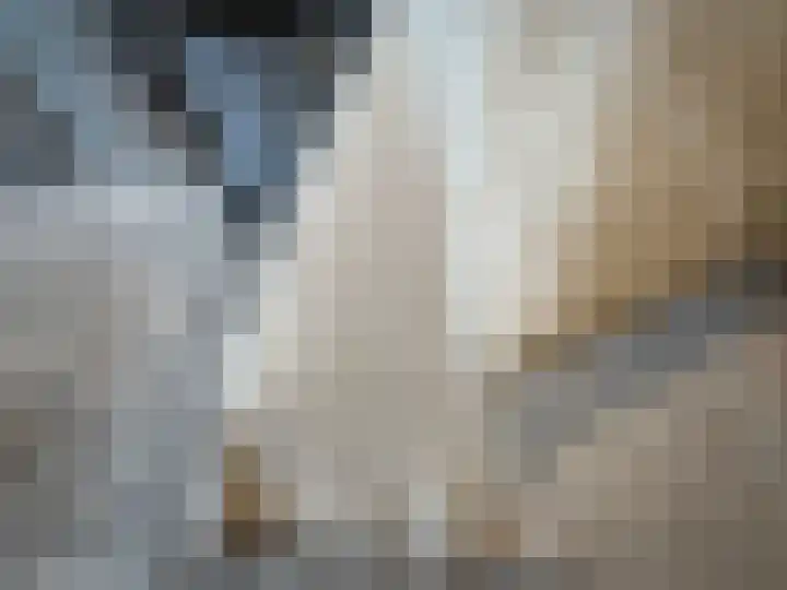 Van Heenvlietlaan 242 F Amsterdam thumbnail 9