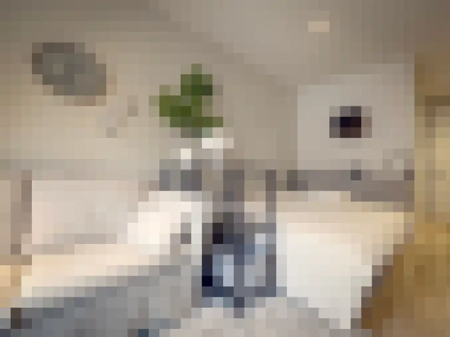 Van Heenvlietlaan 246 G Amsterdam thumbnail 6