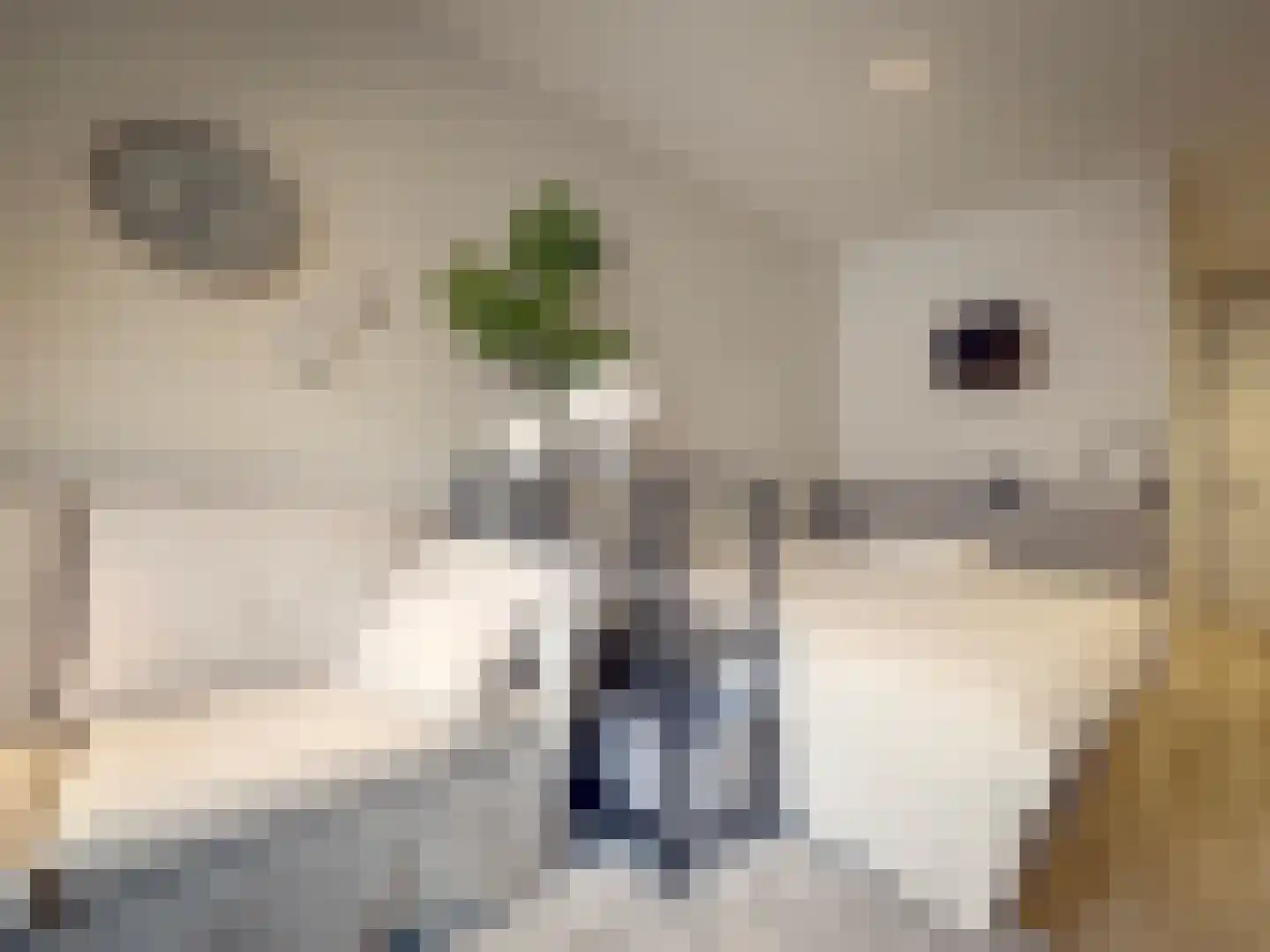 Van Heenvlietlaan 262 H Amsterdam thumbnail 6
