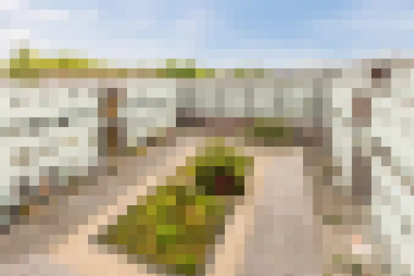 Van Heenvlietlaan 307 Amsterdam thumbnail 34