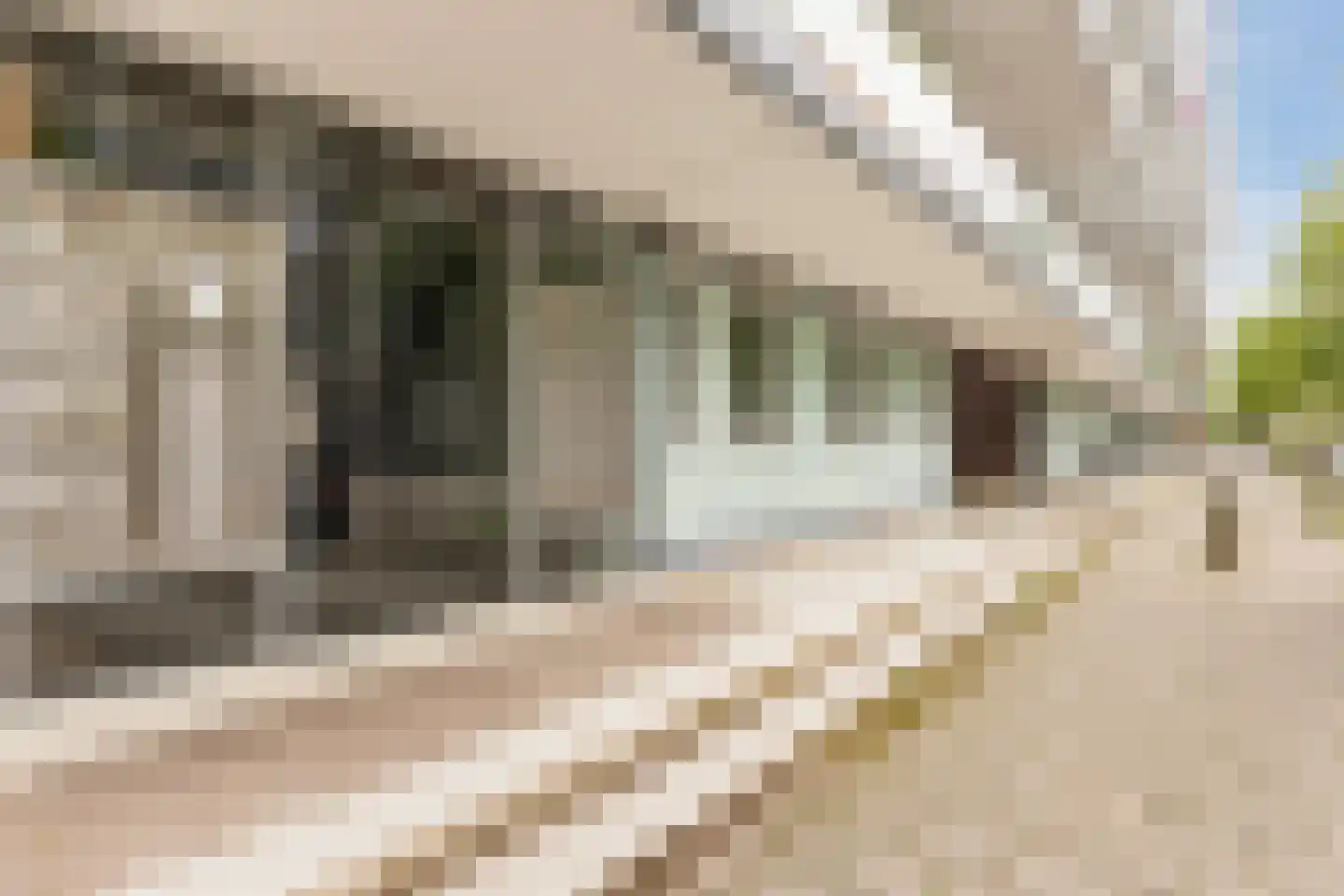 Van Heenvlietlaan 307 Amsterdam thumbnail 6
