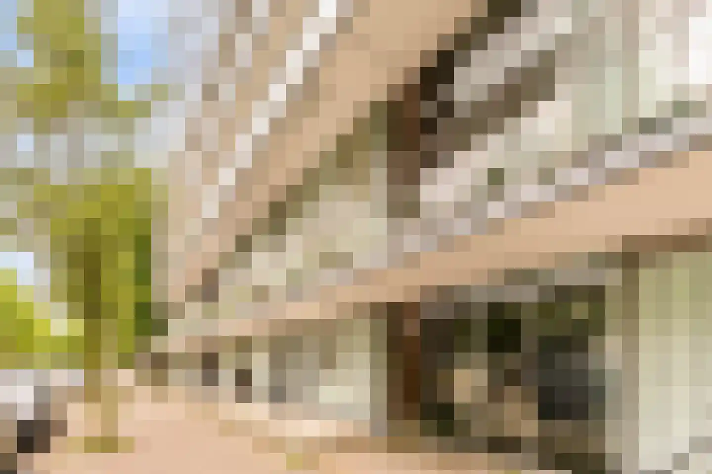 Van Heenvlietlaan 325 Amsterdam thumbnail 28