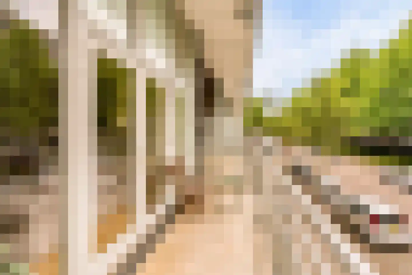 Van Heenvlietlaan 325 Amsterdam thumbnail 9