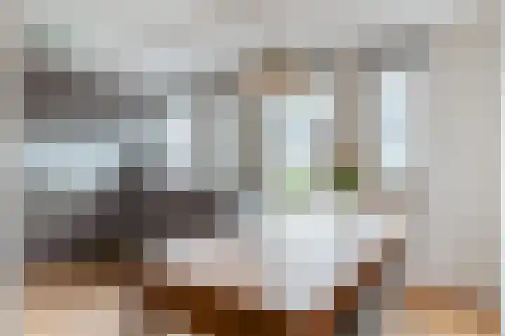 Van Heenvlietlaan 341 Amsterdam thumbnail 13