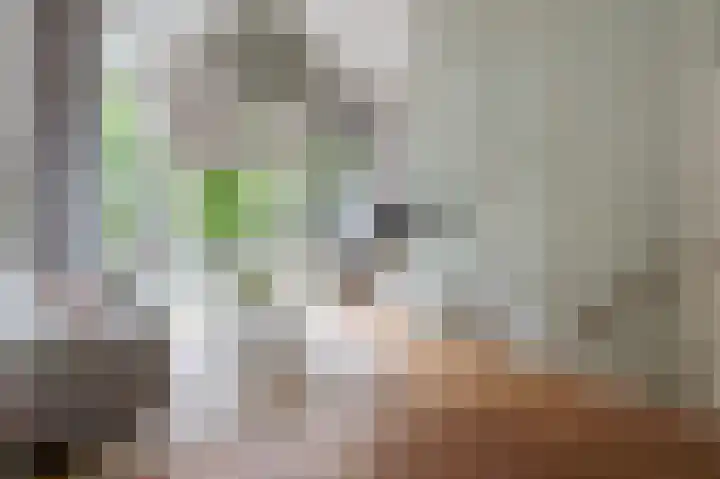 Van Heenvlietlaan 341 Amsterdam thumbnail 7
