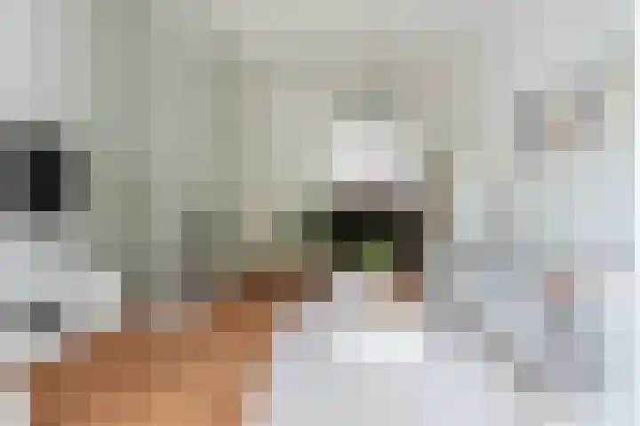 Van Heenvlietlaan 341 Amsterdam thumbnail 9