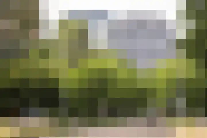 Van Heenvlietlaan 390 1 Amsterdam thumbnail 48