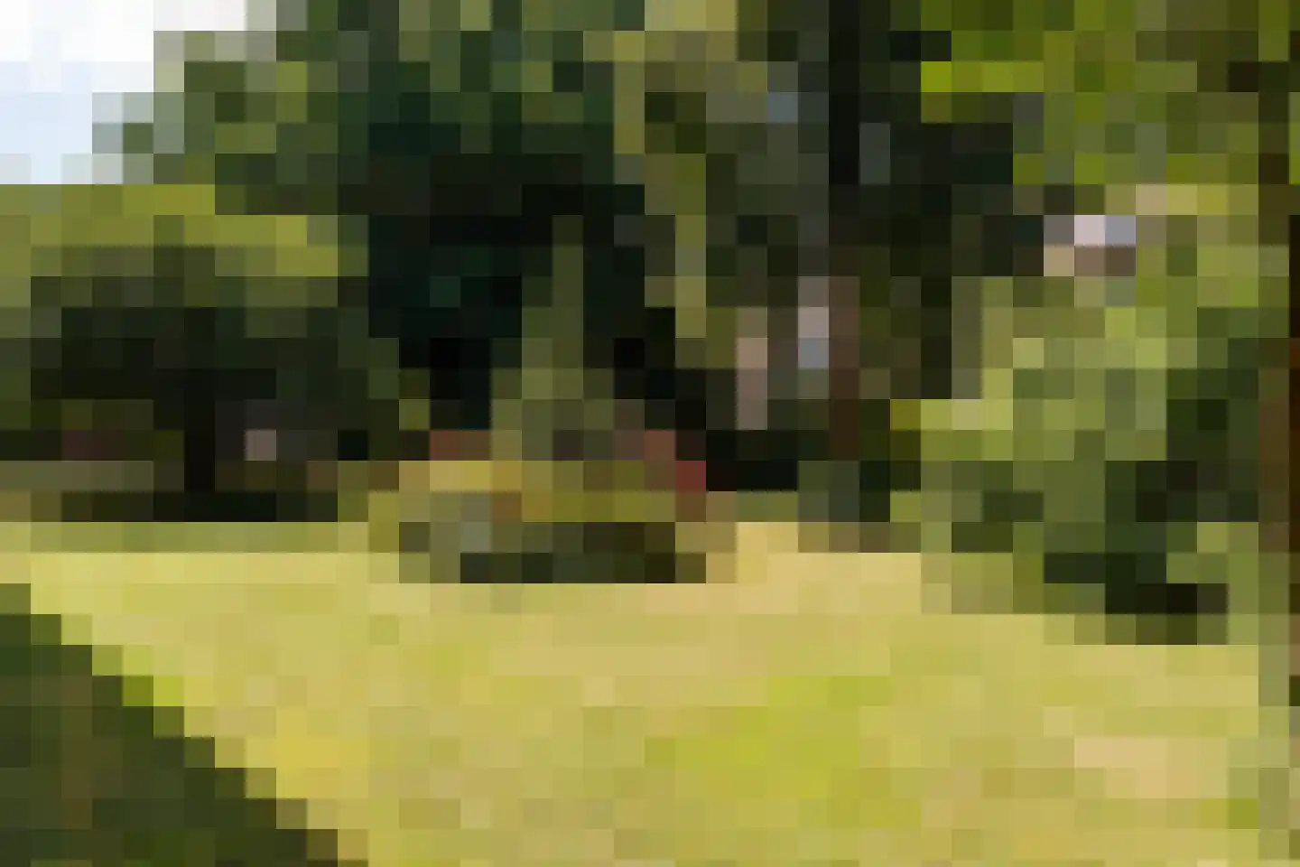 Van Heenvlietlaan 402 1 Amsterdam thumbnail 21