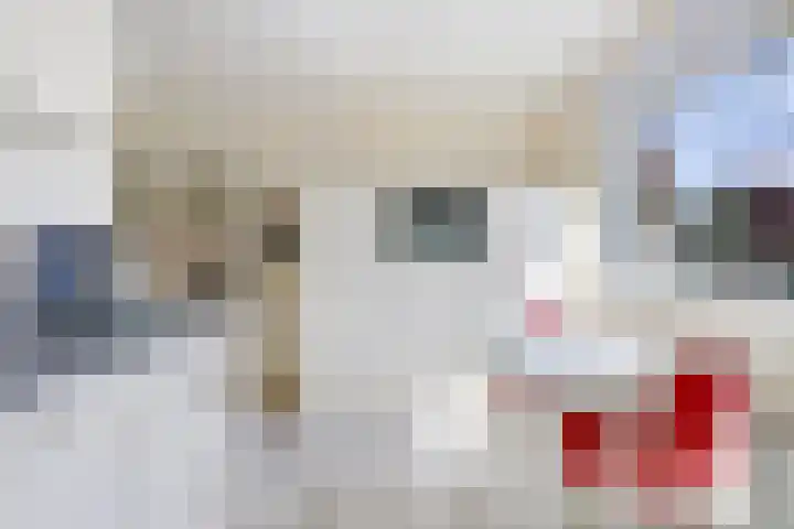 Van Heenvlietstraat 16 Kattendijke thumbnail 15