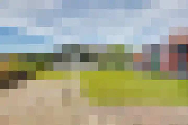 Van Heenvlietstraat 16 Kattendijke thumbnail 34