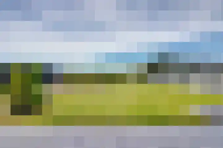 Van Heenvlietstraat 16 Kattendijke thumbnail 35