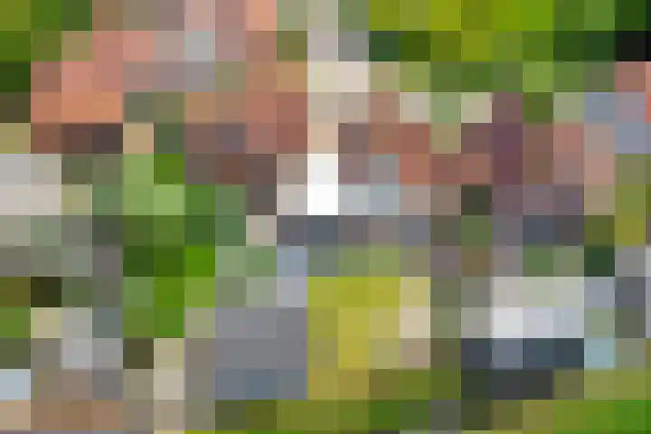 Van Heenvlietstraat 16 Kattendijke thumbnail 47