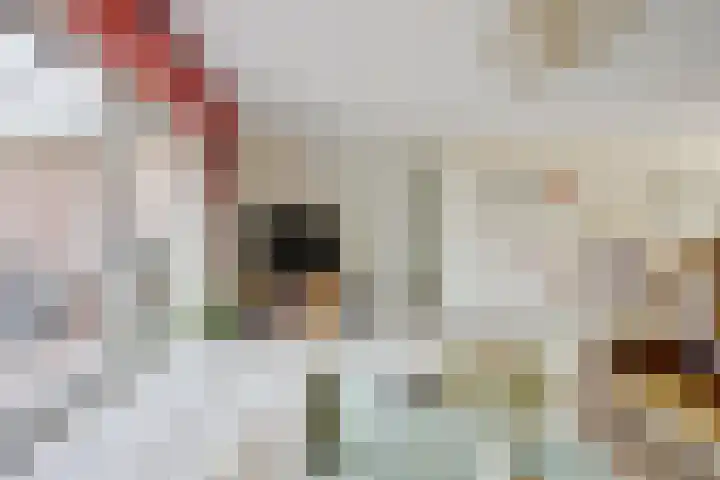 Van Heenvlietstraat 16 Kattendijke thumbnail 7