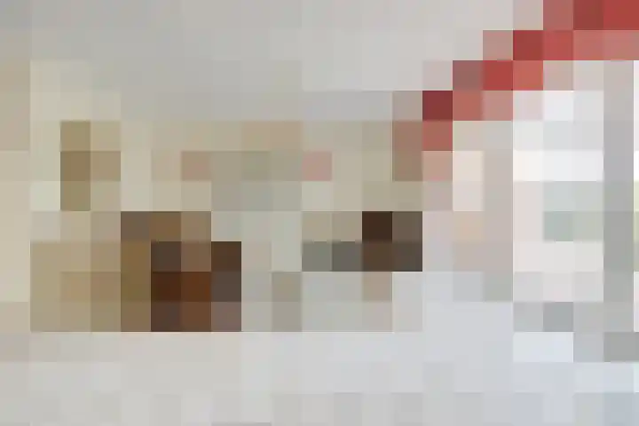 Van Heenvlietstraat 16 Kattendijke thumbnail 9
