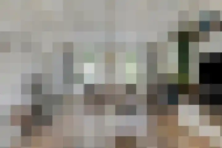 Van Heenvlietstraat 6 Kattendijke thumbnail 10