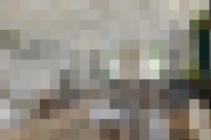 Van Heenvlietstraat 6 Kattendijke thumbnail 11