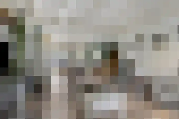 Van Heenvlietstraat 6 Kattendijke thumbnail 12