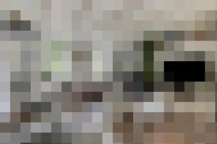 Van Heenvlietstraat 6 Kattendijke thumbnail 13