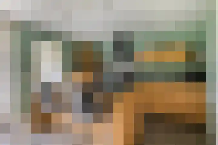 Van Heenvlietstraat 6 Kattendijke thumbnail 18