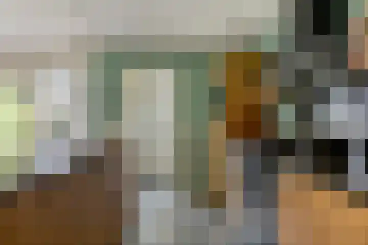 Van Heenvlietstraat 6 Kattendijke thumbnail 19