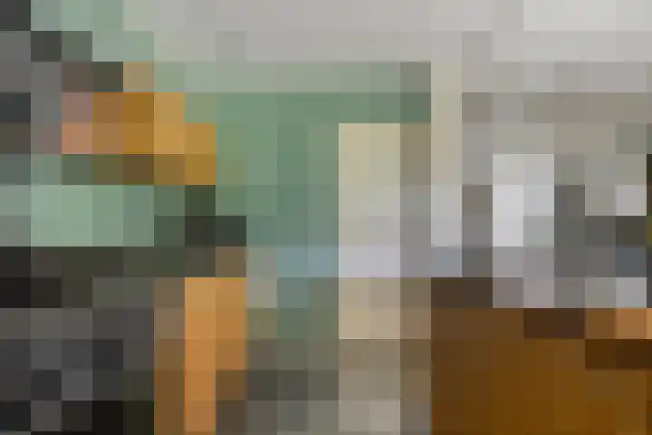 Van Heenvlietstraat 6 Kattendijke thumbnail 20