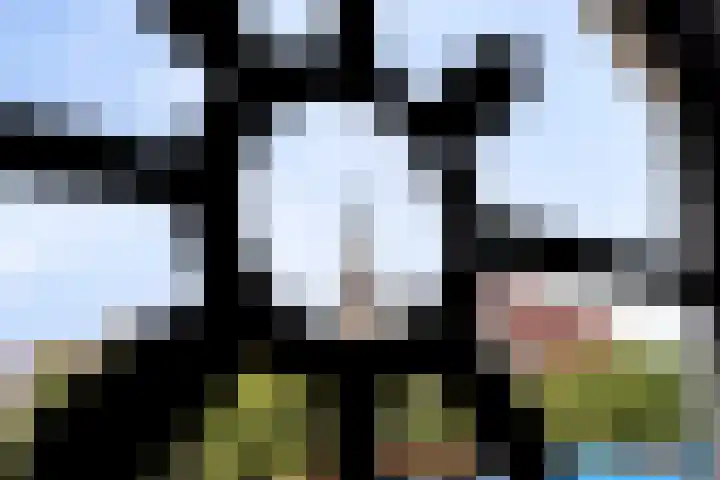 Van Heenvlietstraat 6 Kattendijke thumbnail 26