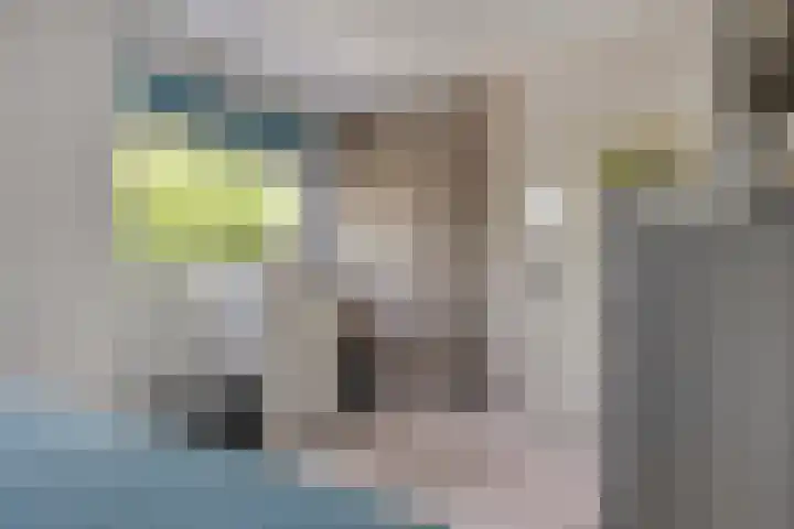 Van Heenvlietstraat 6 Kattendijke thumbnail 27