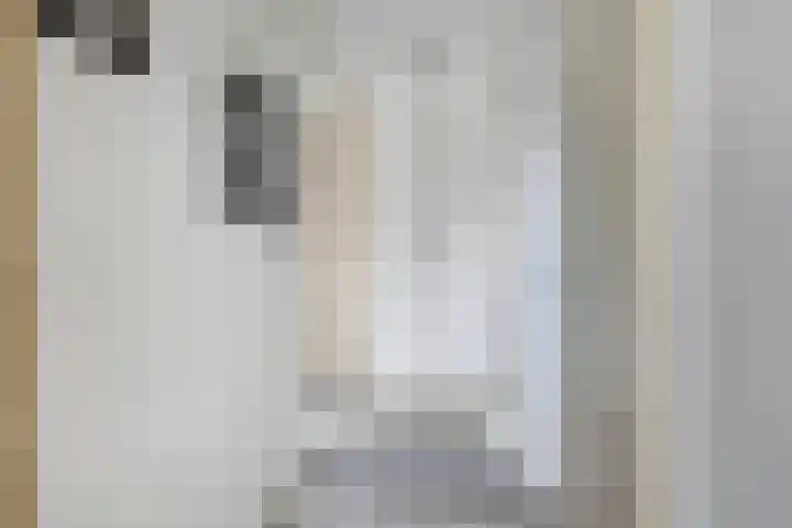 Van Heenvlietstraat 6 Kattendijke thumbnail 31