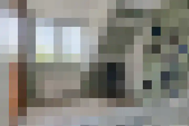 Van Heenvlietstraat 6 Kattendijke thumbnail 32