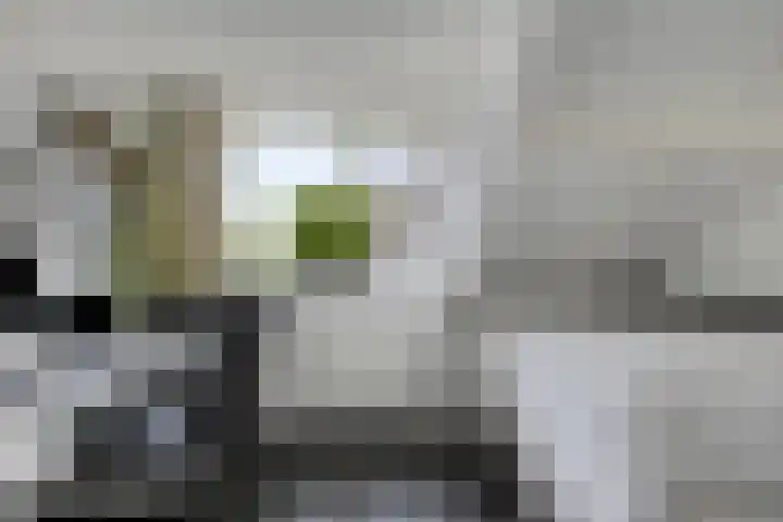Van Heenvlietstraat 6 Kattendijke thumbnail 35