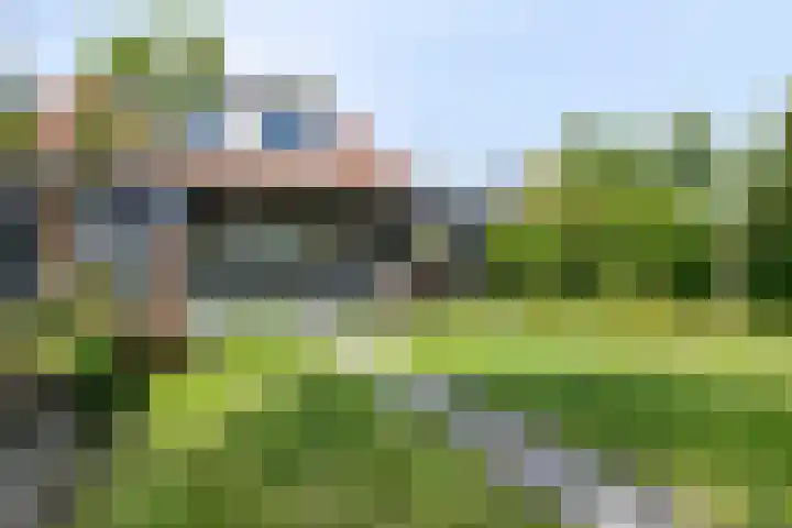 Van Heenvlietstraat 6 Kattendijke thumbnail 44