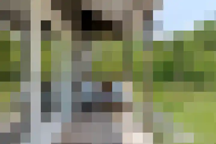 Van Heenvlietstraat 6 Kattendijke thumbnail 46