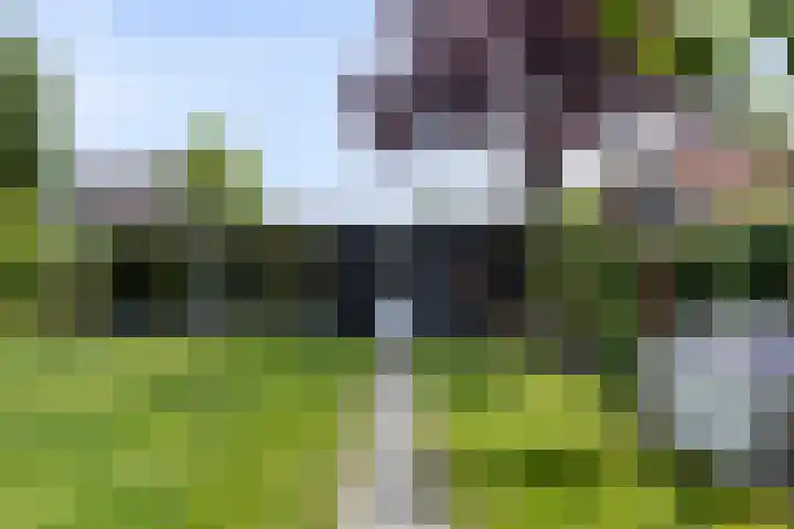 Van Heenvlietstraat 6 Kattendijke thumbnail 48