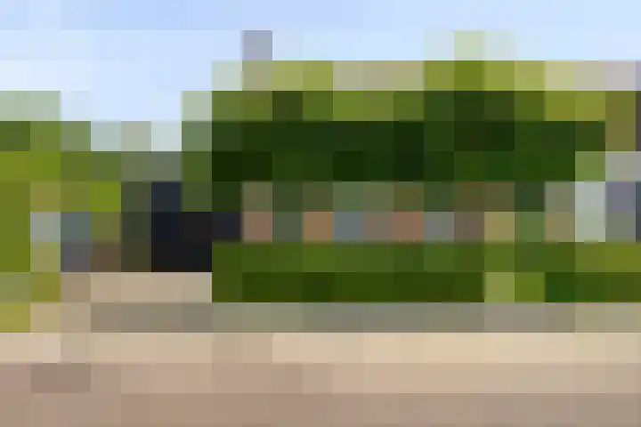 Van Heenvlietstraat 6 Kattendijke thumbnail 5