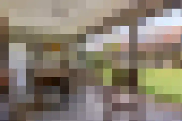 Van Heenvlietstraat 6 Kattendijke thumbnail 50