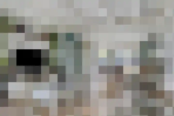 Van Heenvlietstraat 6 Kattendijke thumbnail 8